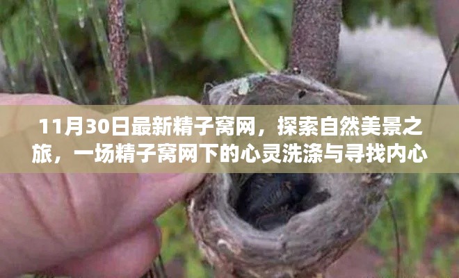 第1320页