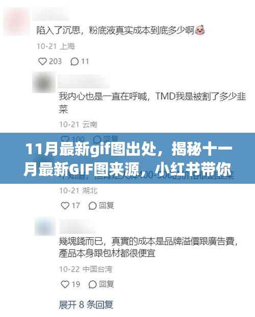 揭秘十一月最新GIF图来源,小红书带你玩转潮流前线