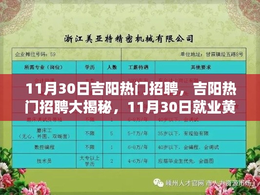 11月30日吉阳热门招聘盛宴,揭秘就业黄金时机!