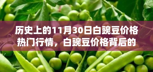 探寻自然美景背后的故事,揭秘历史白豌豆价格行情之旅