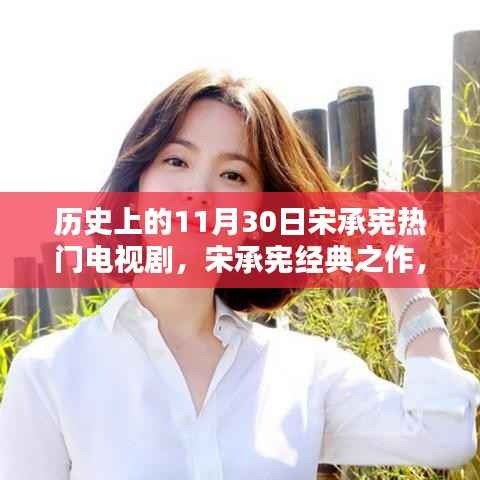 宋承宪经典之作,回顾热门电视剧辉煌历程与深远影响