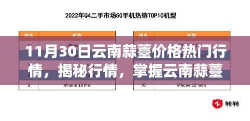 揭秘行情走势，云南蒜薹价格走势与市场机遇洞察