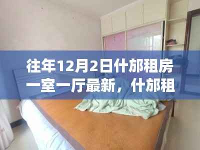 什邡租房市场深度解析,一室一厅优选解读及最新动态