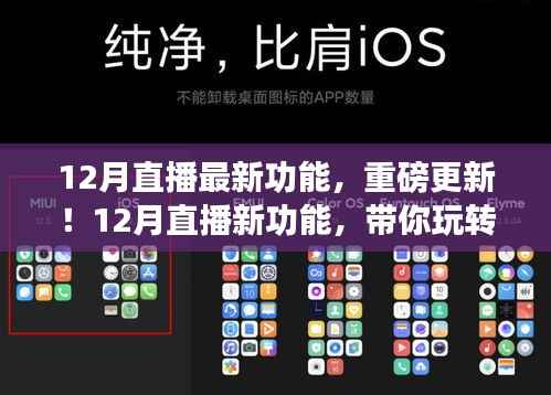 惨淡经营 第3页