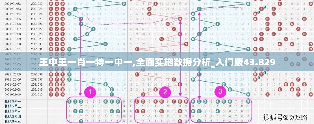 王中王一肖一特一中一,全面实施数据分析_入门版43.829