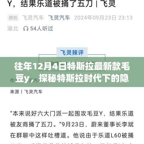 探秘特斯拉时代下的隐秘角落,毛豆Y特色小店揭秘