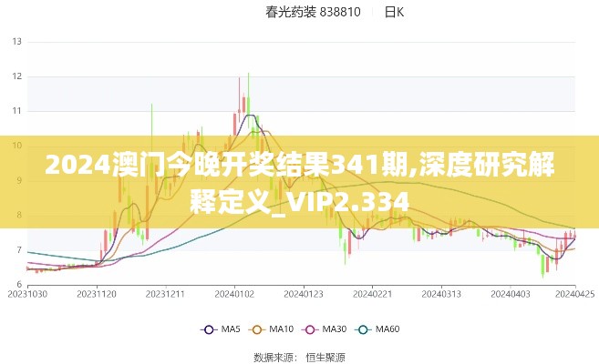 2024澳门今晚开奖结果341期,深度研究解释定义_VIP2.334