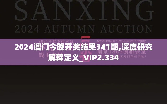 2024澳门今晚开奖结果341期,深度研究解释定义_VIP2.334