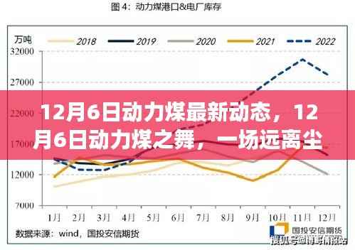 探寻内心平静的能源之旅，最新动力煤动态与启示