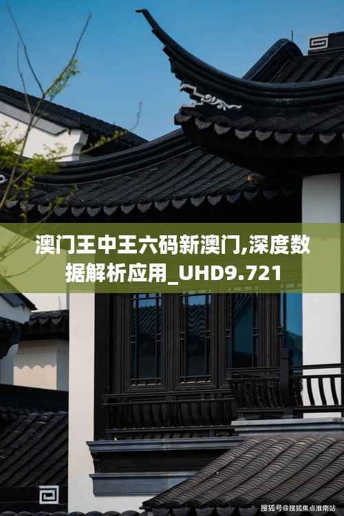 澳门王中王六码新澳门,深度数据解析应用_UHD9.721