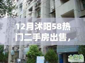 沭阳地区十二月优选热门二手房出售推荐