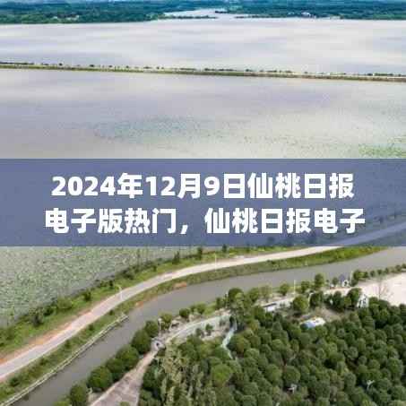 仙桃日报电子版热门阅读指南与操作步骤(2024年12月9日版)
