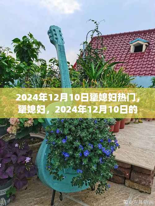 犟媳妇热潮来袭，2024年12月10日的暖流涌动
