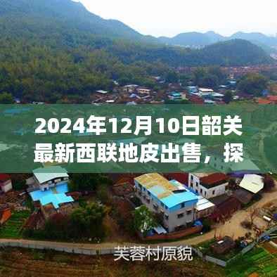 韶关秘境探秘,西联地皮新篇章与美食瑰宝,2024年最新出售信息揭秘
