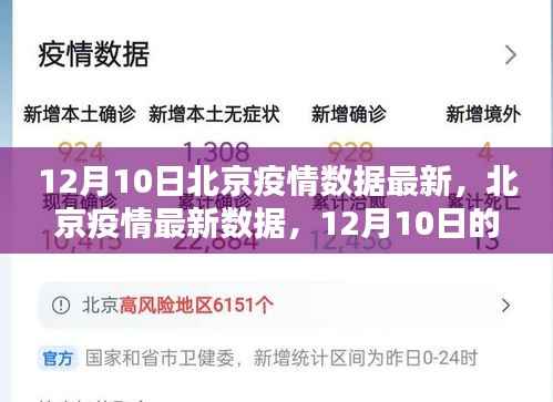 北京疫情最新数据回顾，12月10日的影响与疫情动态