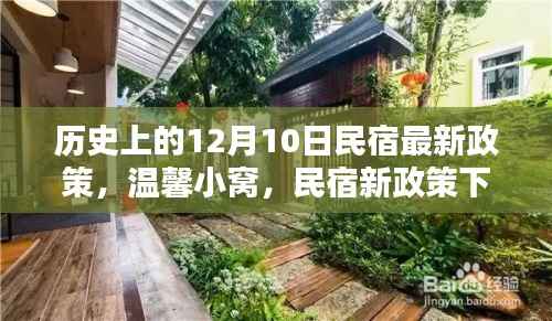 温馨小窝新篇章,民宿新政策下的奇妙际遇与历史回望(12月10日)