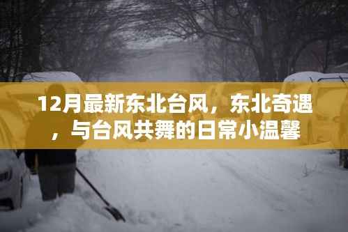 东北奇遇,台风下的日常小温馨