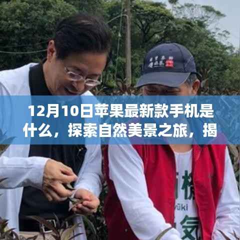 作舍道边 第2页