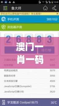 澳门一肖一码一特中今晚,数据支持设计_watchOS7.697