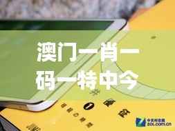 澳门一肖一码一特中今晚,数据支持设计_watchOS7.697