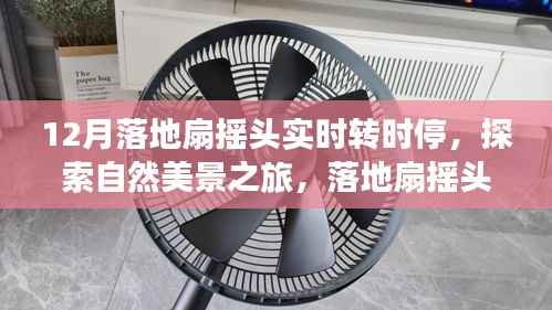 鸟云之阵 第2页