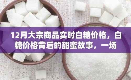 白糖价格背后的故事，友情与陪伴的甜蜜旅程，实时大宗商品白糖价格解析
