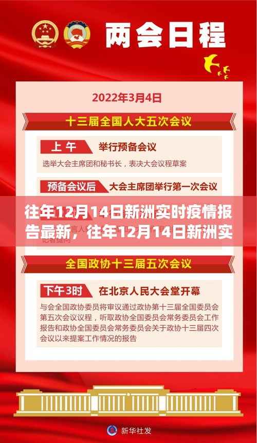 往年12月14日新洲实时疫情报告最新动态，共筑健康防线