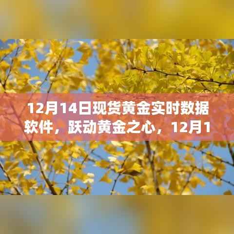 初遇在故事开头 第2页