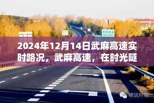 指李推张 第2页