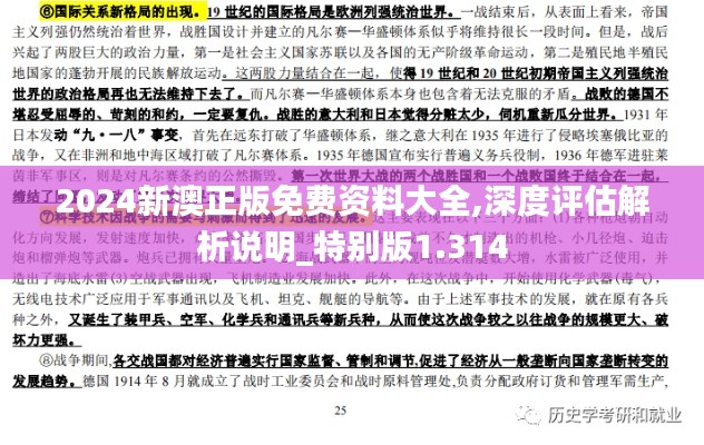 2024新澳正版免费资料大全,深度评估解析说明_特别版1.314