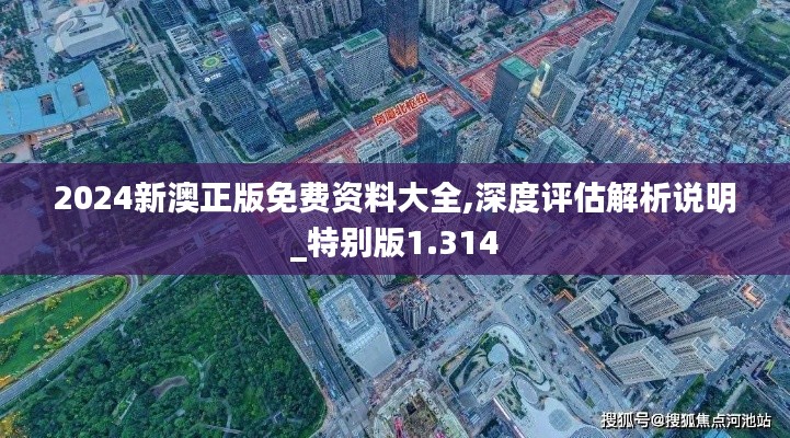 2024新澳正版免费资料大全,深度评估解析说明_特别版1.314