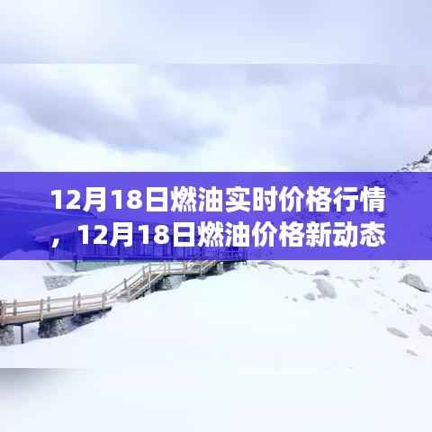 贵出贱收 第3页
