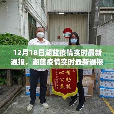 湖蓝疫情实时最新通报深度解析,产品特性、用户体验与目标用户群体评测报告