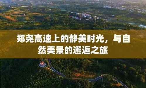 雍荣闲雅 第2页