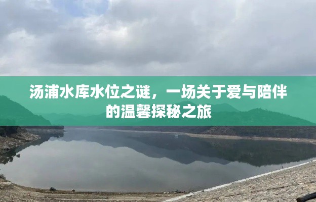 蝇声蛙噪 第3页