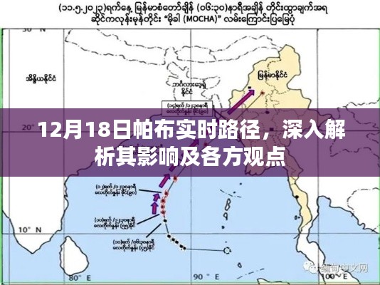 帕布实时路径深度解析,多方观点与影响探讨