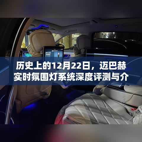 鸟入樊笼 第2页