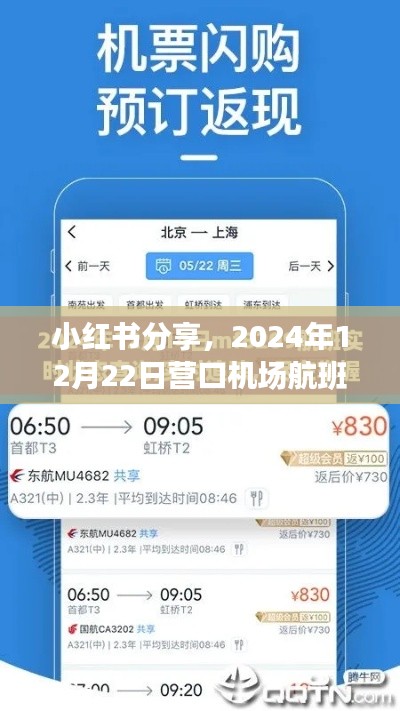 小红书分享,营口机场航班实时查询全攻略,轻松掌握航班动态(2024年12月22日)
