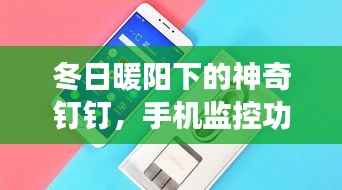 冬日暖阳下的钉钉奇迹，手机监控功能的日常探索