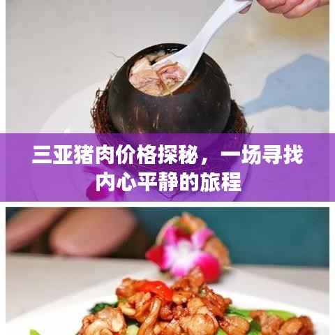 三亚猪肉价格探秘,一场关于物价与心境的旅程