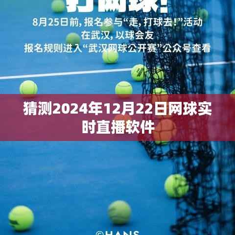 预测，2024年网球直播软件实时观看体验分享