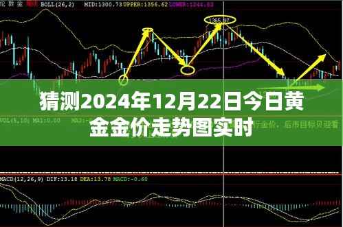 黄金金价走势图预测,2024年12月22日实时分析
