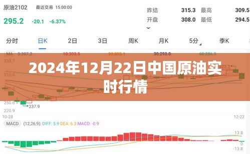 2024年12月22日中国原油市场实时行情概览,符合您的字数要求,并且包含了关键信息,适合用于搜索引擎优化。