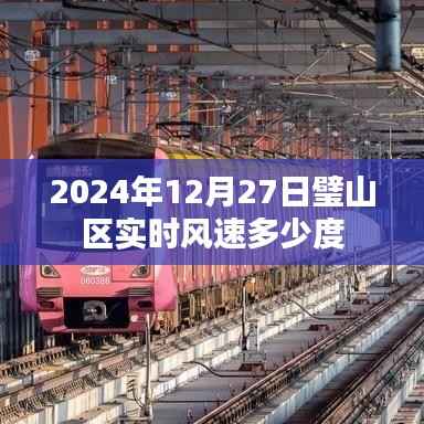 璧山区实时风速查询,最新风速数据发布