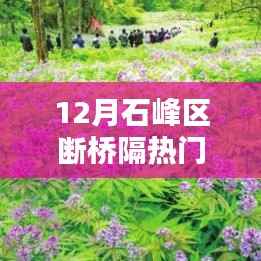 石峰区断桥隔热门窗品牌排行揭秘