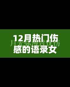 伤感女生网名语录，十二月的心灵触动
