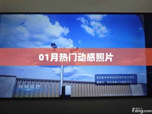 精选动感照片，记录美好瞬间