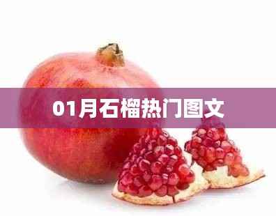 绝无仅有 第2页