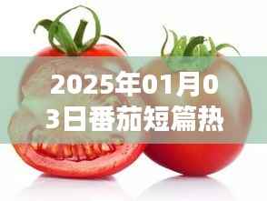 为民请命 第2页