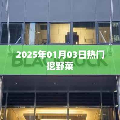去就之分 第2页